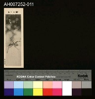 藏品(じをり型學習博物館：賢いくも)的圖片